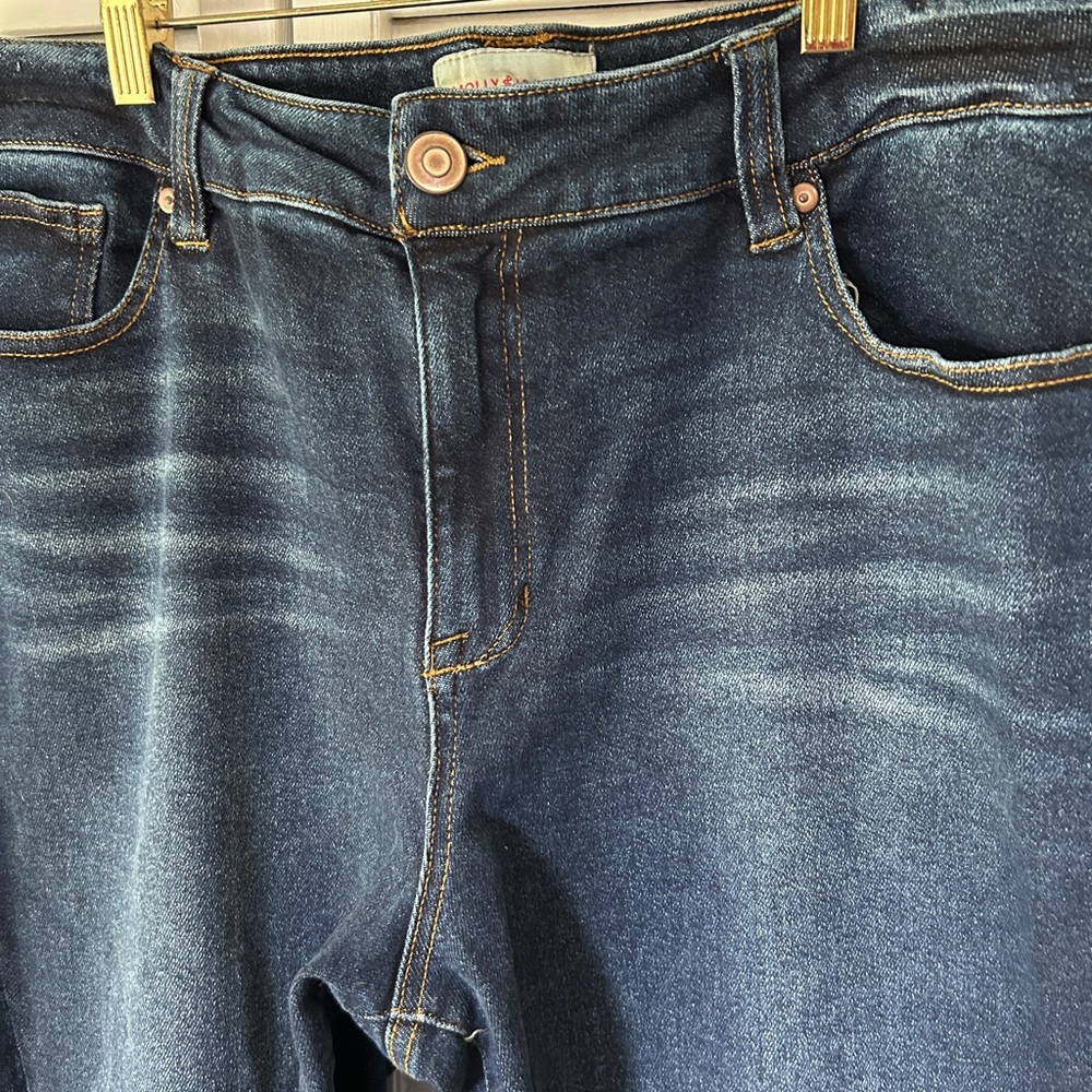 Women’s Girlfriend Blue Jeans by Molly and Isadora Size 18W